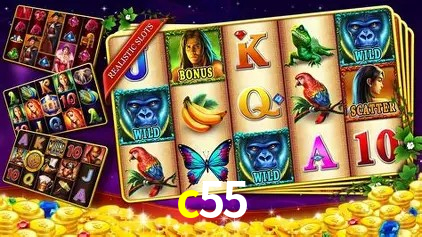 c55,c55.com