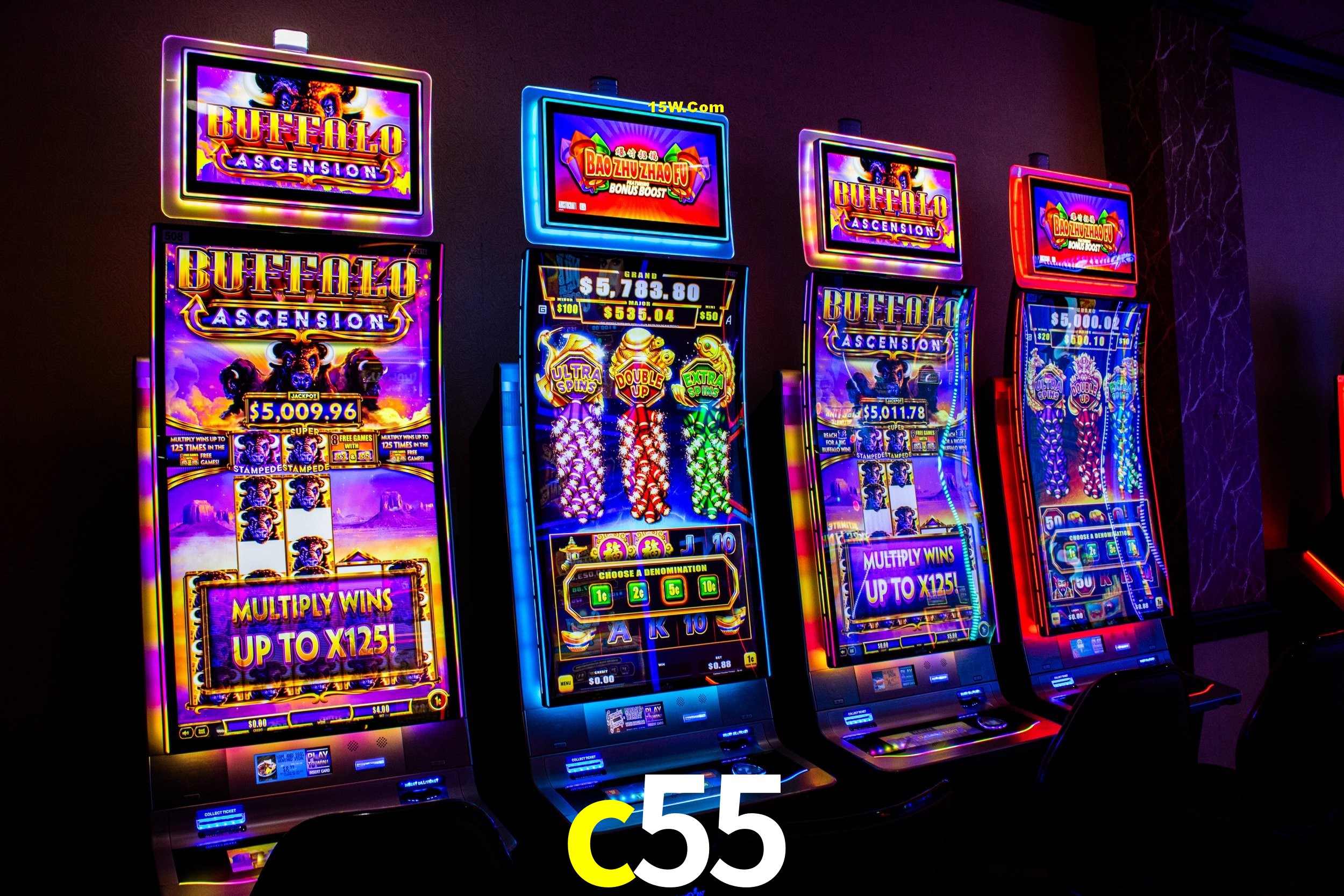 Security Systems c55