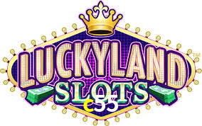 Live Casino c55