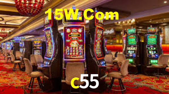 Premium Interface c55